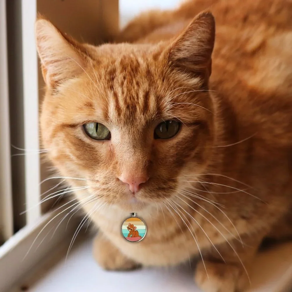 Disney Oliver and Company-Pet Tag 